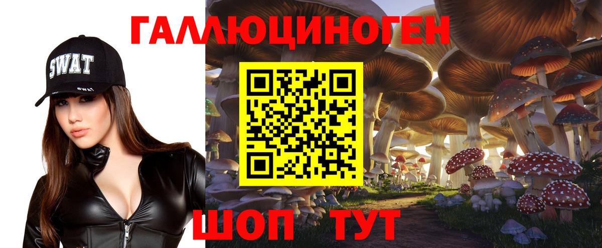 Галлюциногенные грибы Cubensis Тимашёвск